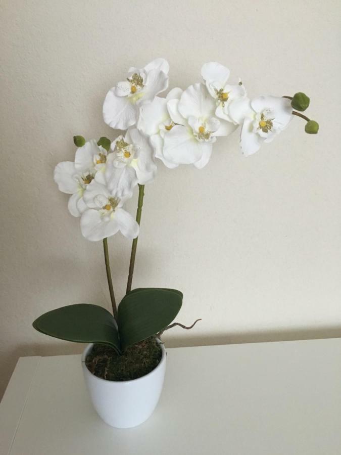Ferienwohnung Franken Hallerndorf エクステリア 写真